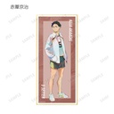(PO) Haikyu!! Trading Ani-Art Vol. 5 Shikishi with Stand [BOX] Image_12