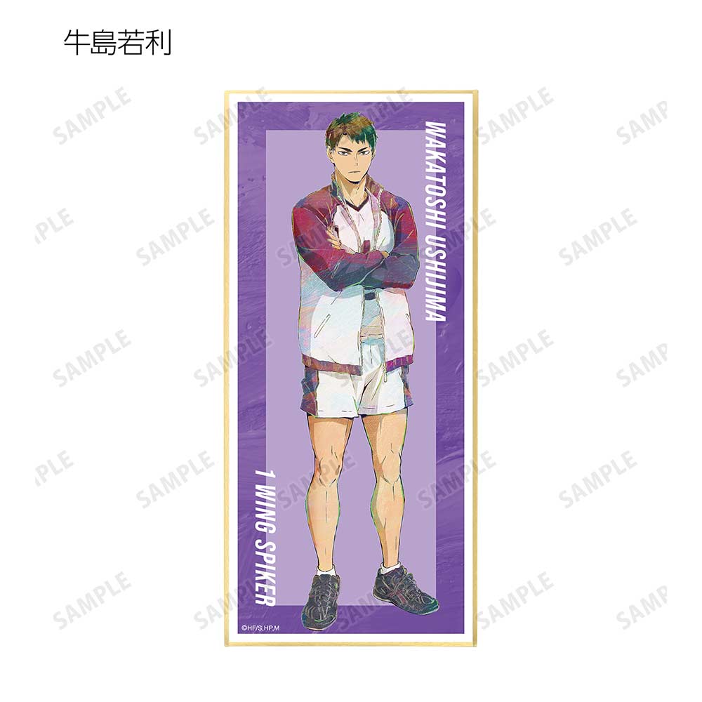 (PO) Haikyu!! Trading Ani-Art Vol. 5 Shikishi with Stand [BOX] Image_13