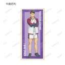 (PO) Haikyu!! Trading Ani-Art Vol. 5 Shikishi with Stand [BOX] Image_13