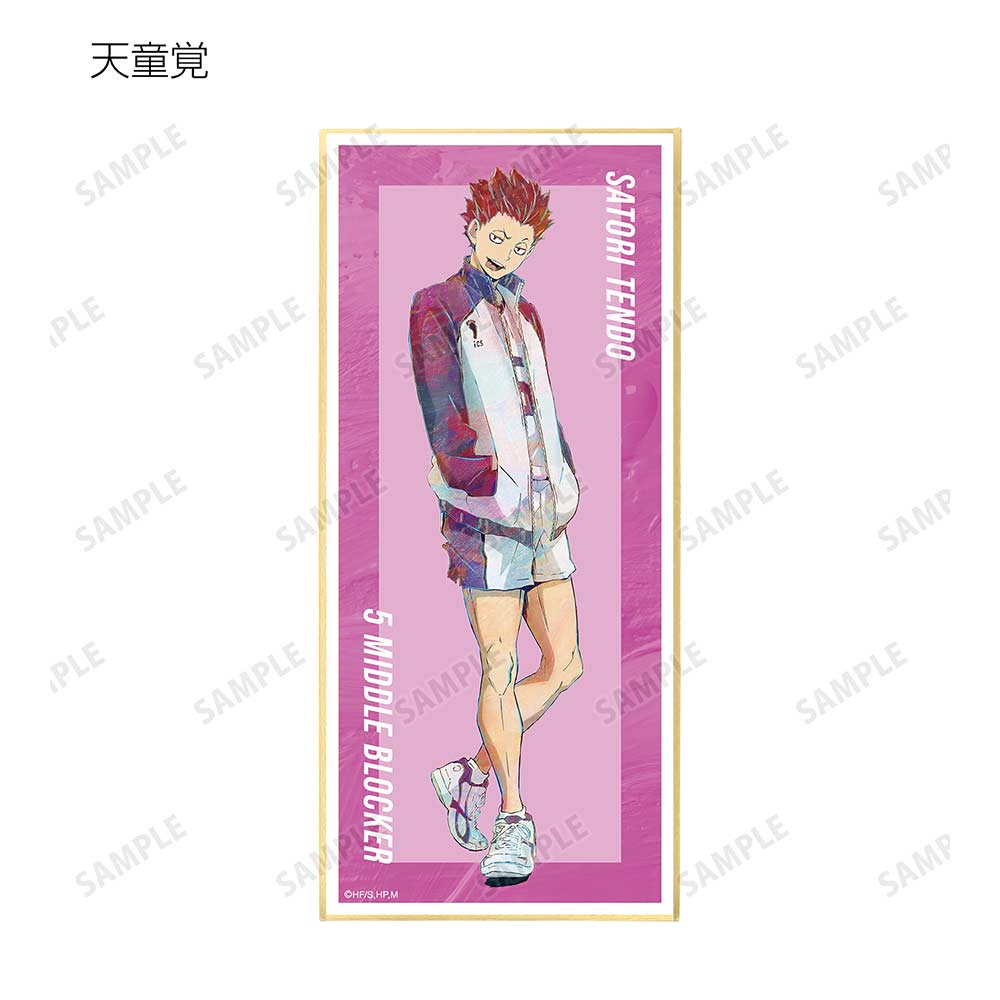 (PO) Haikyu!! Trading Ani-Art Vol. 5 Shikishi with Stand [BOX] Image_14