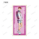 (PO) Haikyu!! Trading Ani-Art Vol. 5 Shikishi with Stand [BOX] Image_14
