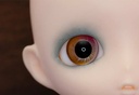 (PO) Harmonia humming Blooming Palette (Dawn) Image_5