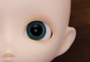 (PO) Harmonia humming Blooming Palette (Twilight) Image_5
