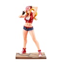 (PO) SNK Heroines Tag Team Frenzy Bishoujo - Terry Bogard  Image_2