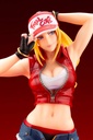 (PO) SNK Heroines Tag Team Frenzy Bishoujo - Terry Bogard  Image_12