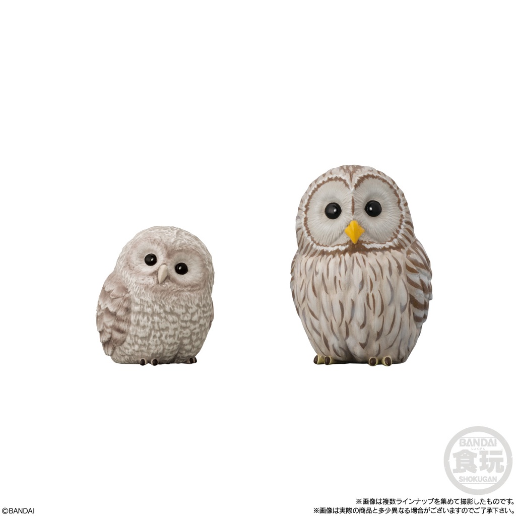 (PO) Friends on Hand 7 [BOX] Image_3