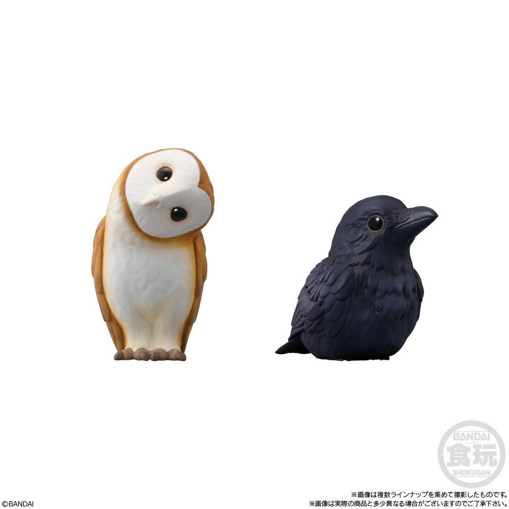 (PO) Friends on Hand 7 [BOX] Image_4