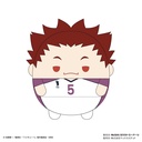 (PO) HQ-34 Haikyu!! Fuwakororin Big 5 E Tendo Satori Image_1