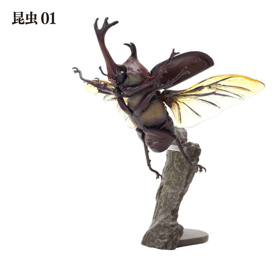 Creatures Encyclopedia Mini Collection Insect 01  Image_2