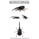 Creatures Encyclopedia Mini Collection Insect 01  Image_7
