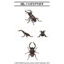 Creatures Encyclopedia Mini Collection Insect 01  Image_9