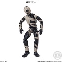 (PO) SHODO-O Kamen Rider 11 [BOX] Image_7