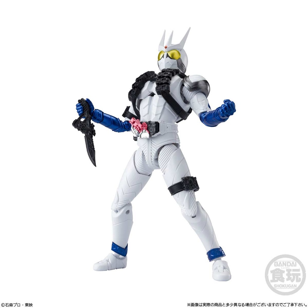 (PO) SHODO-O Kamen Rider 11 [BOX] Image_9