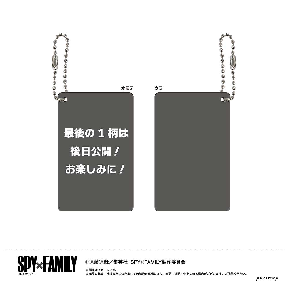 (PO) SPY x FAMILY Visual Card Key Chain Collection [BOX] Image_7