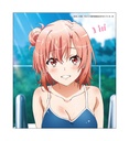(PO) My Teen Romantic Comedy SNAFU Original Illustration Trading Shikishi Vol. 7 [BOX] Image_7