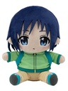 (PO) Encouragement of Climb: Next Summit Plush - Kurosaki Honoka Image_2