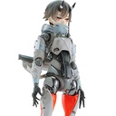 (PO) SHOJO-HATSUDOKI MOTORED CYBORG RUNNER SSX_155 MANDARIN SURF Image_1