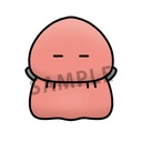(PO) Chokorin Mascot Shocker During the Day [BOX] Image_6