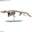 (PO) PLANNOSAURUS Mosasaurus Image_2
