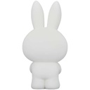 (PO) UDF Dick Bruna Series 6 Ofuro Miffy Image_2