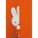 (PO) UDF Dick Bruna Series 6 Miffy (Hyokkori) Image_2