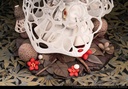 (PO) Reverse Studio The Mushroom Girls Series No.2 Dictyophora Indusiata Image_7