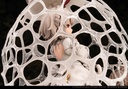 (PO) Reverse Studio The Mushroom Girls Series No.2 Dictyophora Indusiata Image_13