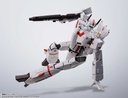 (PO) HI-METAL R Macross VF-1J Armored Valkyrie Ichijyo Hikaru's Fighter Revival Ver. Image_13