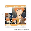 (PO) Haikyu!! Character in Stand - Hinata Shoyo Image_1