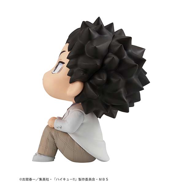 (PO) Look Up Series Haikyu!! - Iwaizumi Hajime Image_5