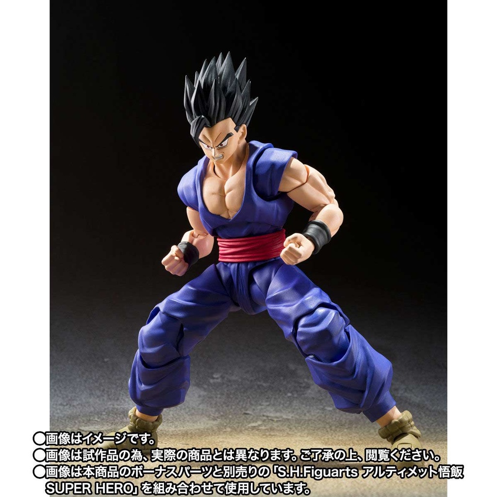(PO) S.H.Figuarts Dragonball Super - Son Gohan Beast Image_10
