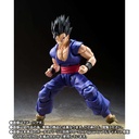 (PO) S.H.Figuarts Dragonball Super - Son Gohan Beast Image_10