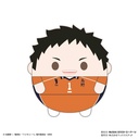 (PO) HQ-41 Haikyu!! Fuwakororin (M Size) 7 A Sawamura Daichi Image_1