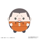 (PO) HQ-41 Haikyu!! Fuwakororin (M Size) 7 C Tanaka Ryunosuke Image_1