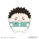 (PO) HQ-41 Haikyu!! Fuwakororin (M Size) 7 D Iwaizumi Hajime Image_1