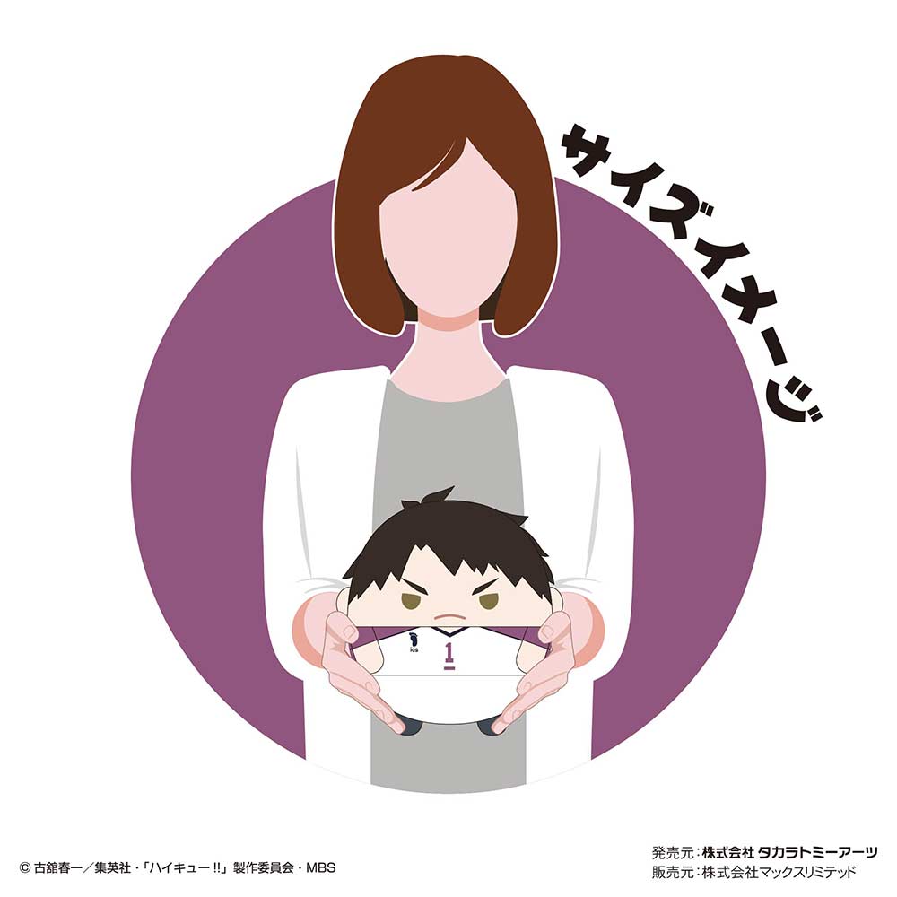 (PO) HQ-41 Haikyu!! Fuwakororin (M Size) 7 F Ushijima Wakatoshi Image_2