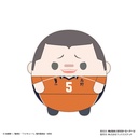 (PO) HQ-42 Haikyu!! Fuwakororin Big 7 C Tanaka Ryunosuke Image_1
