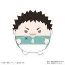 (PO) HQ-42 Haikyu!! Fuwakororin Big 7 D Iwaizumi Hajime Image_1
