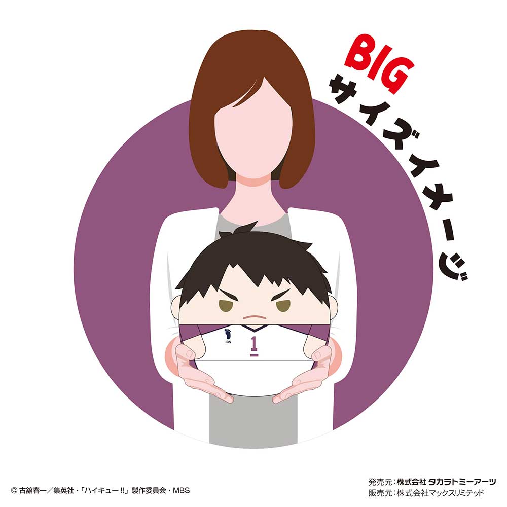 (PO) HQ-42 Haikyu!! Fuwakororin Big 7 F Ushijima Wakatoshi Image_2