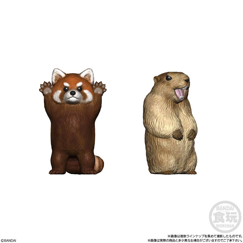(PO) Friends on Hand 9 [BOX] Image_4
