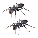 (PO) REVO GEO Japanese Carpenter Ant Image_1