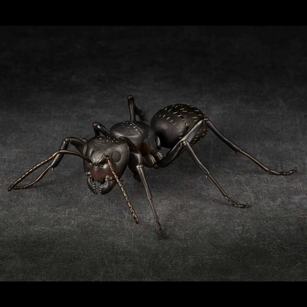 (PO) REVO GEO Japanese Carpenter Ant Image_2