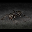 (PO) REVO GEO Japanese Carpenter Ant Image_2