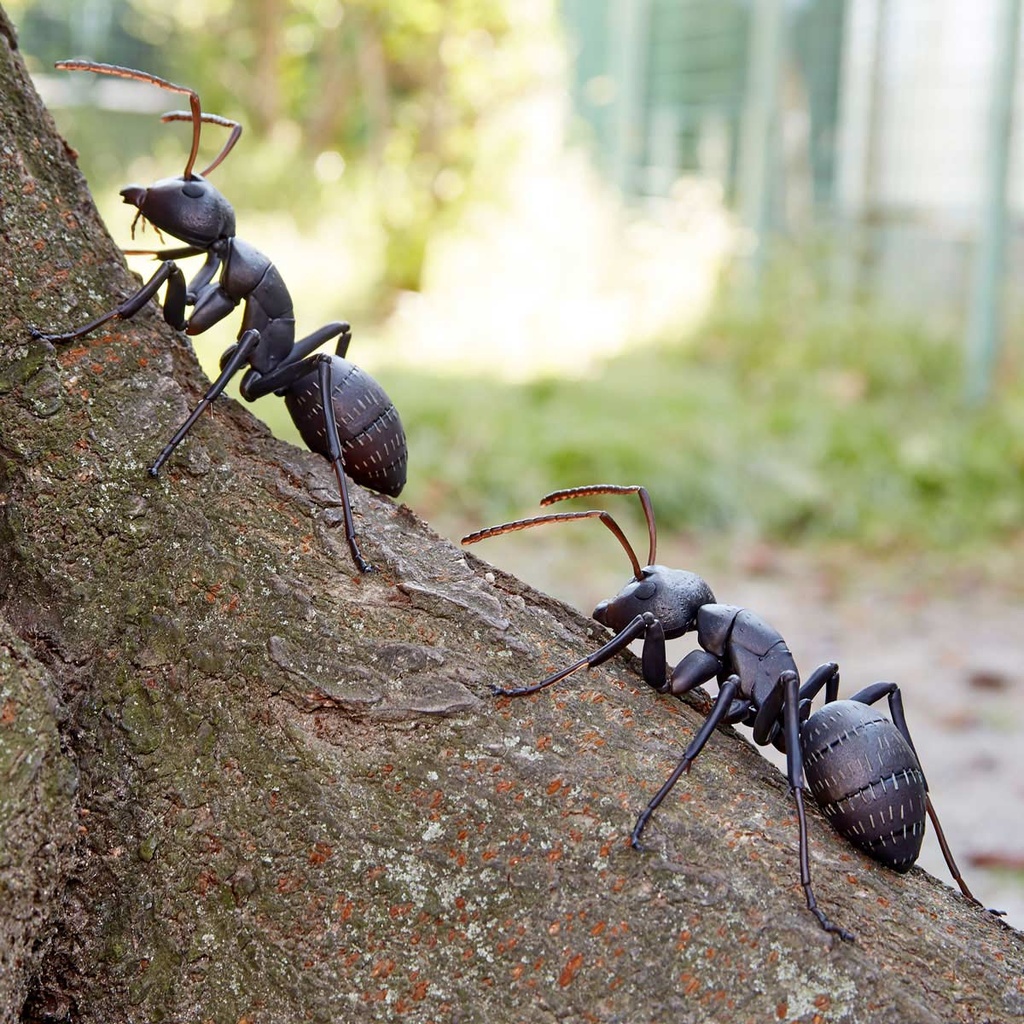 (PO) REVO GEO Japanese Carpenter Ant Image_3