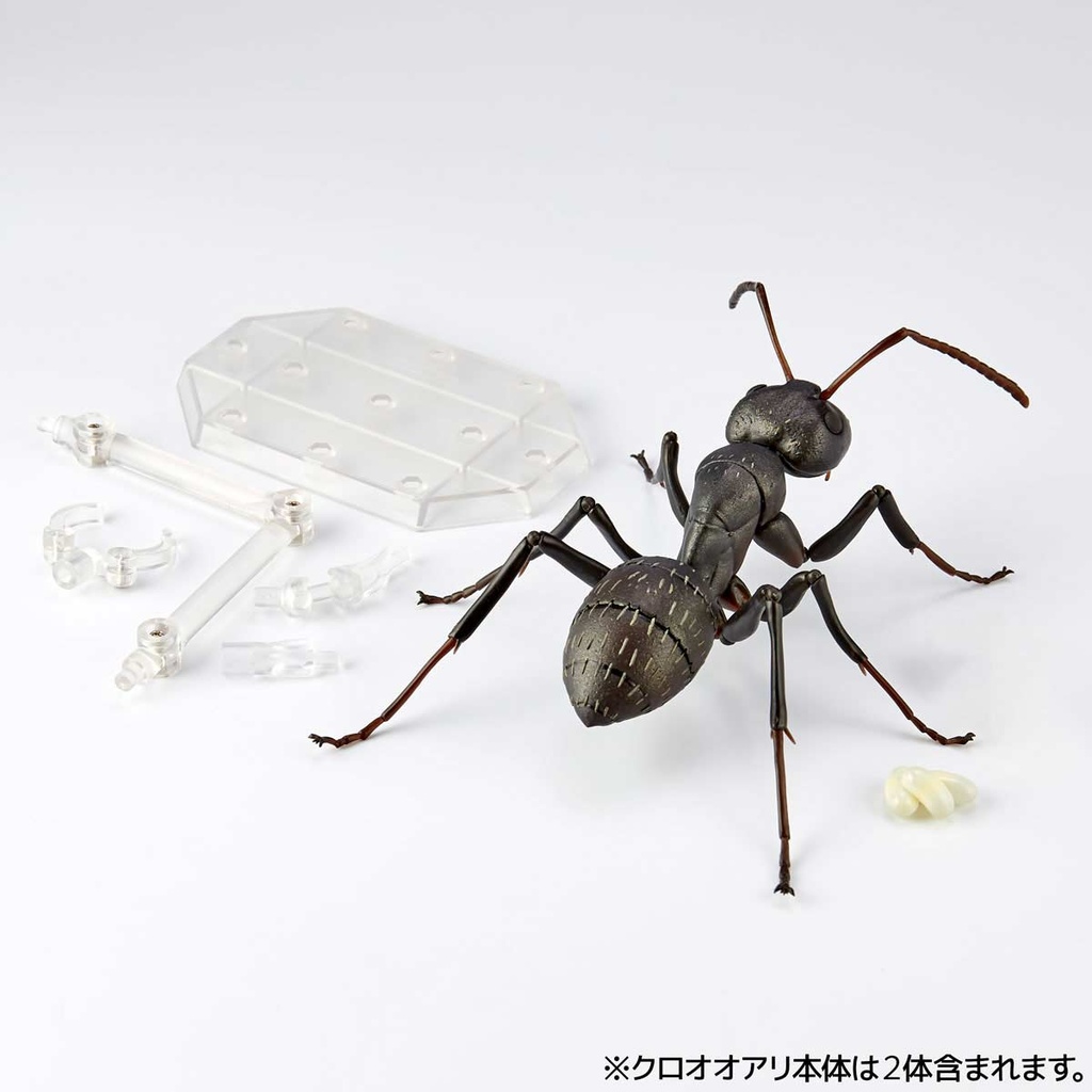(PO) REVO GEO Japanese Carpenter Ant Image_5