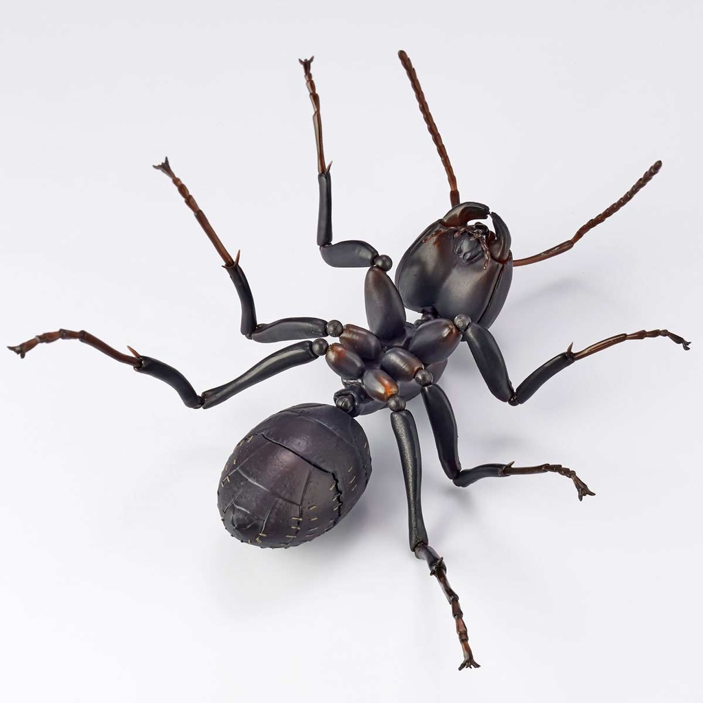 (PO) REVO GEO Japanese Carpenter Ant Image_9