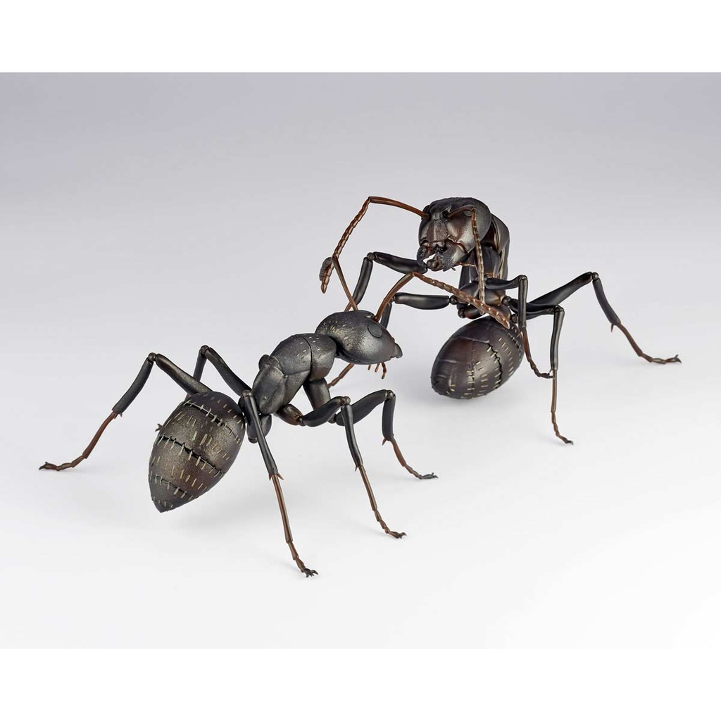 (PO) REVO GEO Japanese Carpenter Ant Image_12