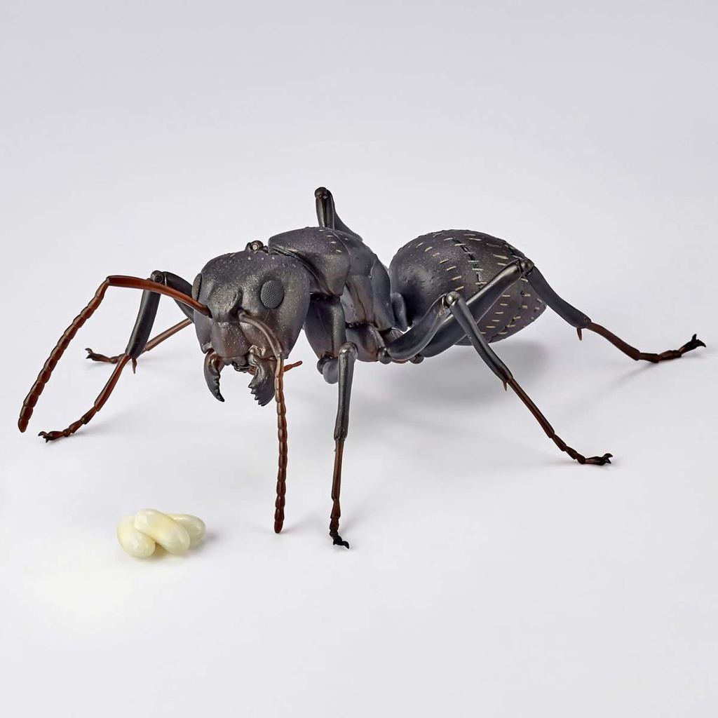 (PO) REVO GEO Japanese Carpenter Ant Image_13