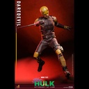 (PO) Television Masterpiece Series TMS096 - She-Hulk: Attorney At Law - Daredevil Image_5