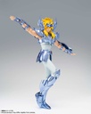 (PO) Saint Cloth Myth EX Cygnus Hyoga (Final Bronze Cloth) Image_4